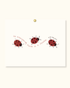 The Ladybug Post