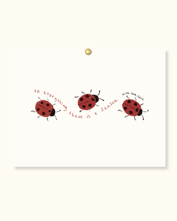 The Ladybug Post