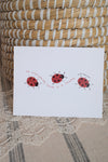 The Ladybug Post